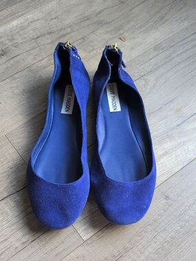 Steve Madden Royal Blue Suede Flats with Gold Zipper Accent